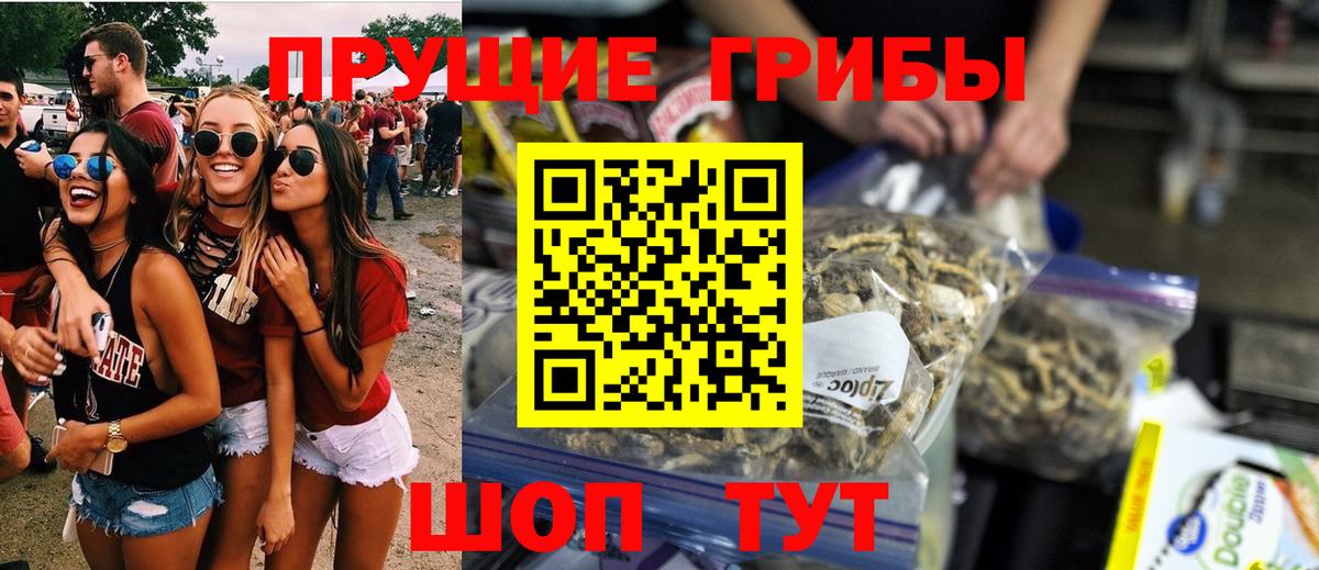 Дербент  Галлюциногенные грибы Psilocybine cubensis  Галлюциногенные грибы прущие грибы  продажа наркотиков  Вход с VPN 
